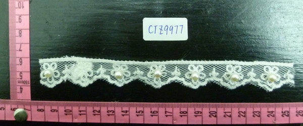 CTZ9977