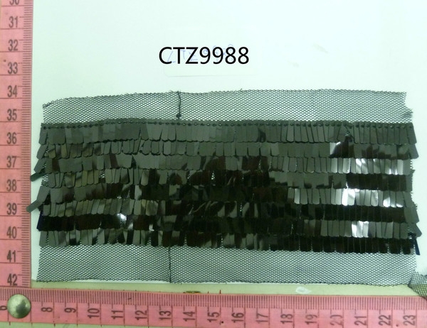 CTZ9988