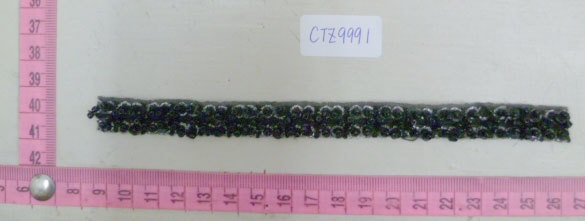 CTZ9991