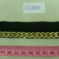 CTZ10001