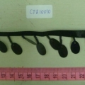 CTZ10010