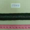 CTZ10029