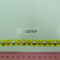 CTZ10154