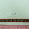 CTZ10156