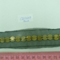 CTZ10159