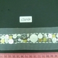 CTZ10160