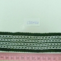 CTZ10166