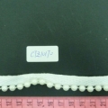 CTZ10170