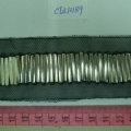 CTZ10189