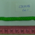 CTZ10196