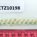 CTZ10198