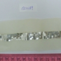 CTZ10289