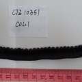 CTZ10351