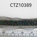 CTZ10389