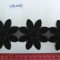 CTZ10415