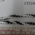 CTZ10439