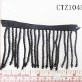 CTZ10455