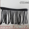 CTZ10455