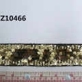 CTZ10466