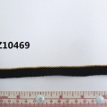 CTZ10469