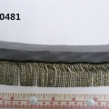 CTZ10481