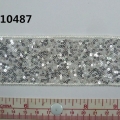 CTZ10487
