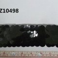 CTZ10498