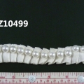 CTZ10499