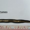 CTZ10503