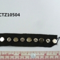 CTZ10504