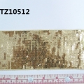 CTZ10512
