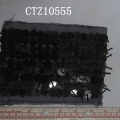 CTZ10555