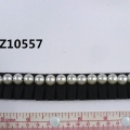 CTZ10557