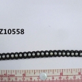 CTZ10558
