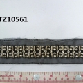 CTZ10561