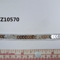 CTZ10570