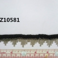 CTZ10581