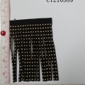 CTZ10589
