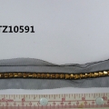 CTZ10591