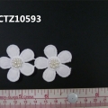 CTZ10593