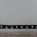 CTZ10599