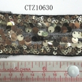 CTZ10630