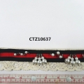 CTZ10637