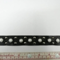 CTZ10646