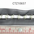 CTZ10657
