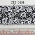 CTZ10658