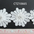 CTZ10665