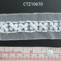 CTZ10670