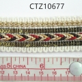 CTZ10677