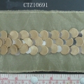 CTZ10691
